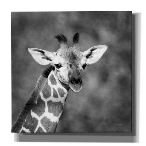 Image of 'Little Guy' by Debra Van Swearingen, Canvas Wall Art,12x12x1.1x0,18x18x1.1x0,26x26x1.74x0,37x37x1.74x0