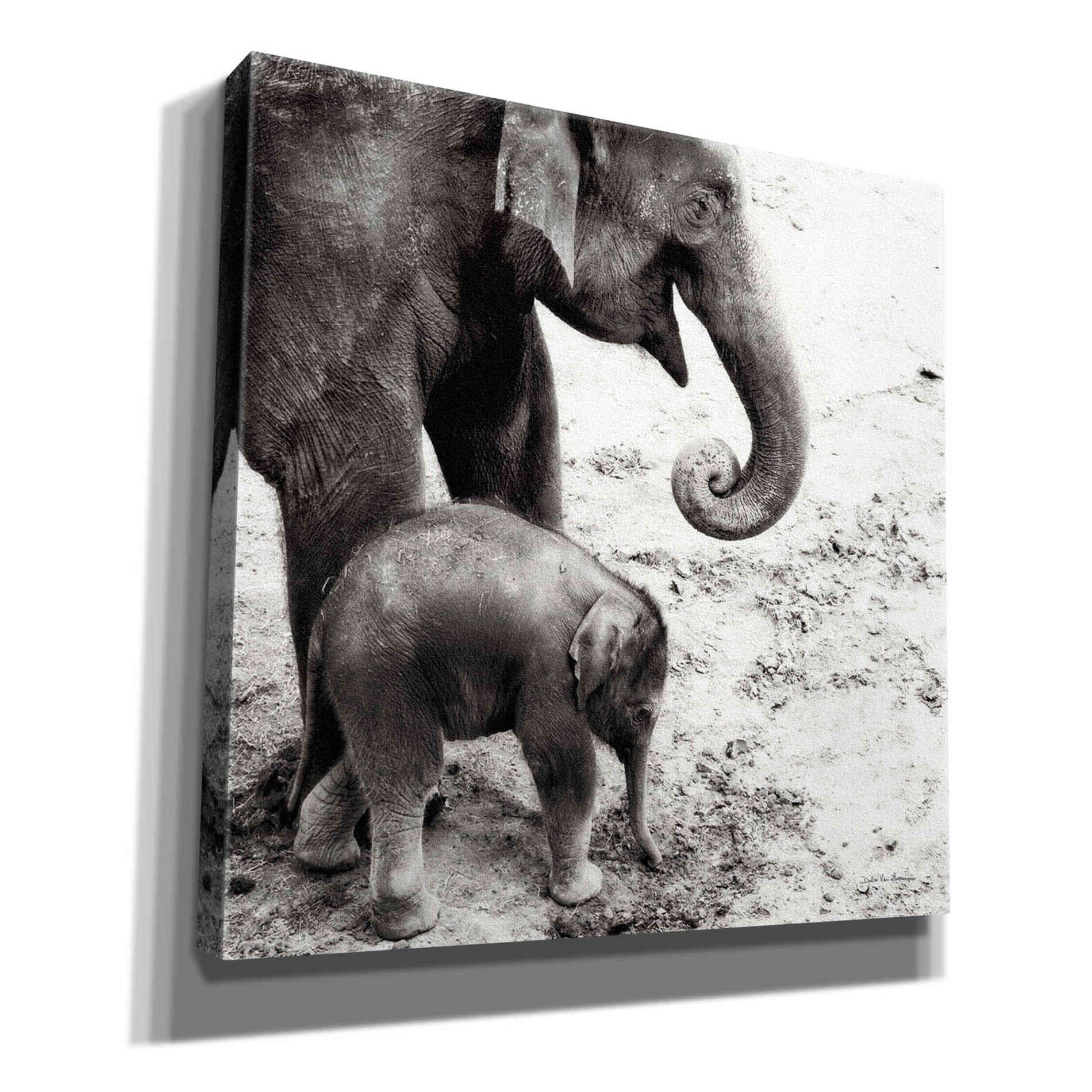 'Mother and Daughter' by Debra Van Swearingen, Canvas Wall Art,12x12x1.1x0,18x18x1.1x0,26x26x1.74x0,37x37x1.74x0