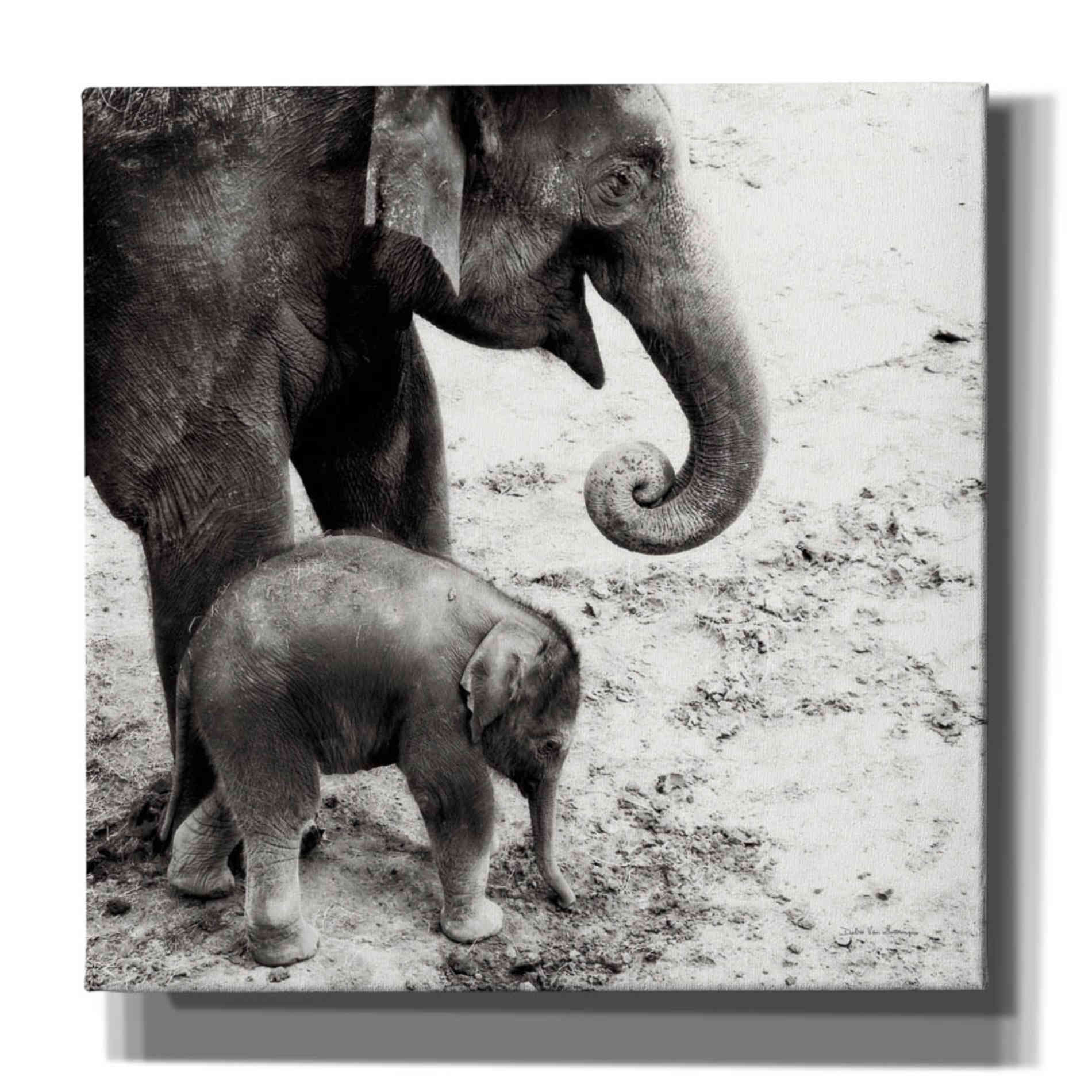 'Mother and Daughter' by Debra Van Swearingen, Canvas Wall Art,12x12x1.1x0,18x18x1.1x0,26x26x1.74x0,37x37x1.74x0