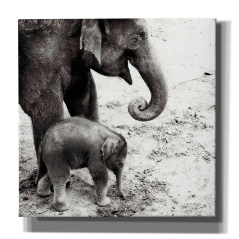 Image of 'Mother and Daughter' by Debra Van Swearingen, Canvas Wall Art,12x12x1.1x0,18x18x1.1x0,26x26x1.74x0,37x37x1.74x0