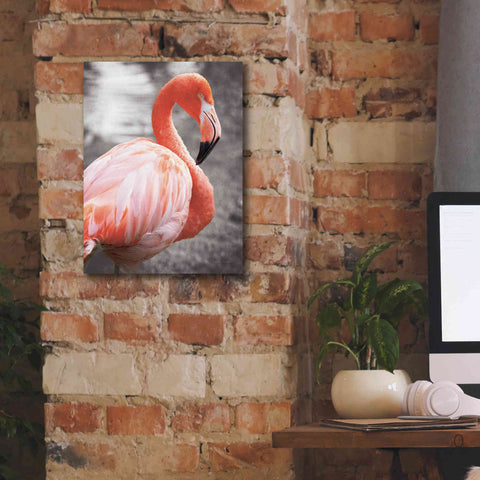 Image of 'Flamingo I on BW' by Debra Van Swearingen, Canvas Wall Art,12 x 16