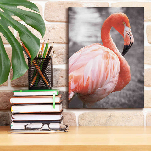 Image of 'Flamingo I on BW' by Debra Van Swearingen, Canvas Wall Art,12 x 16