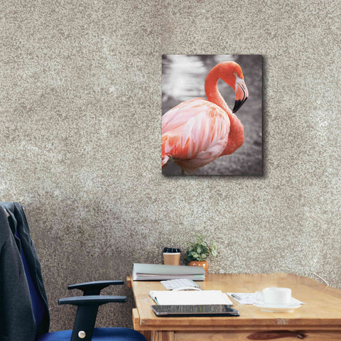 Image of 'Flamingo I on BW' by Debra Van Swearingen, Canvas Wall Art,20 x 24