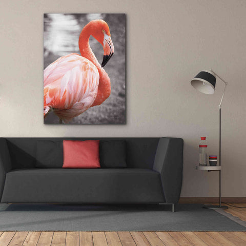Image of 'Flamingo I on BW' by Debra Van Swearingen, Canvas Wall Art,40 x 54