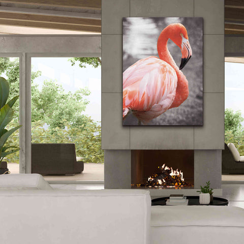 Image of 'Flamingo I on BW' by Debra Van Swearingen, Canvas Wall Art,40 x 54