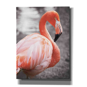 'Flamingo I on BW' by Debra Van Swearingen, Canvas Wall Art,12x16x1.1x0,20x24x1.1x0,26x30x1.74x0,40x54x1.74x0