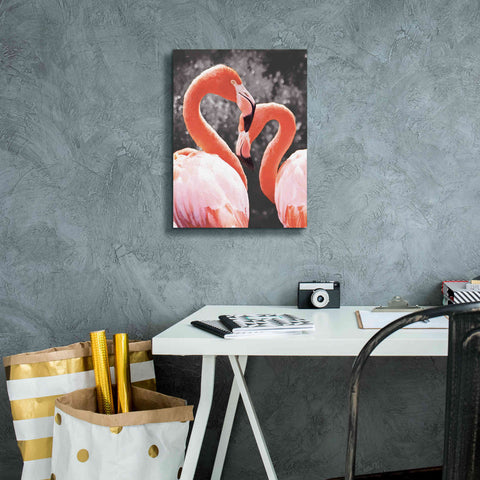 Image of 'Flamingo II on BW' by Debra Van Swearingen, Canvas Wall Art,12 x 16