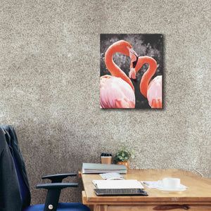'Flamingo II on BW' by Debra Van Swearingen, Canvas Wall Art,20 x 24