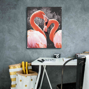 'Flamingo II on BW' by Debra Van Swearingen, Canvas Wall Art,20 x 24