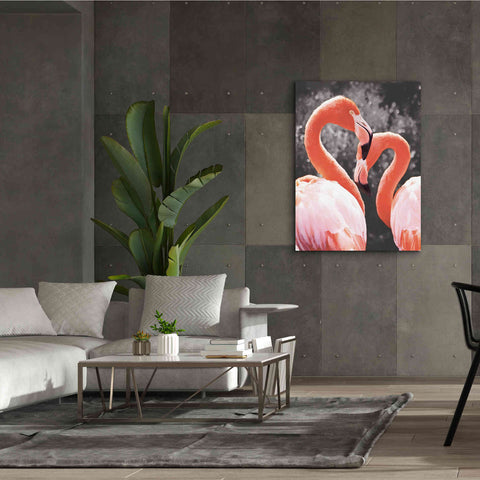 Image of 'Flamingo II on BW' by Debra Van Swearingen, Canvas Wall Art,40 x 54