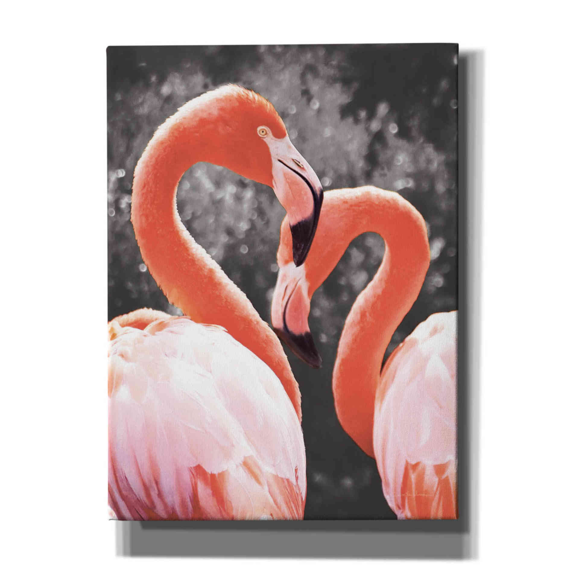 'Flamingo II on BW' by Debra Van Swearingen, Canvas Wall Art,12x16x1.1x0,20x24x1.1x0,26x30x1.74x0,40x54x1.74x0