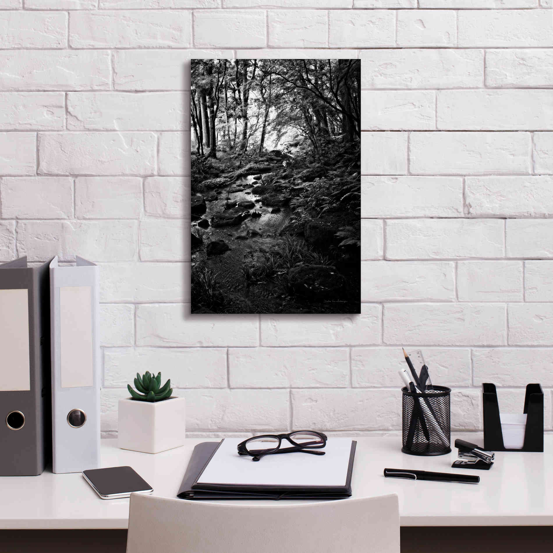 'Lush Creek in Forest BW' by Debra Van Swearingen, Canvas Wall Art,12 x 18