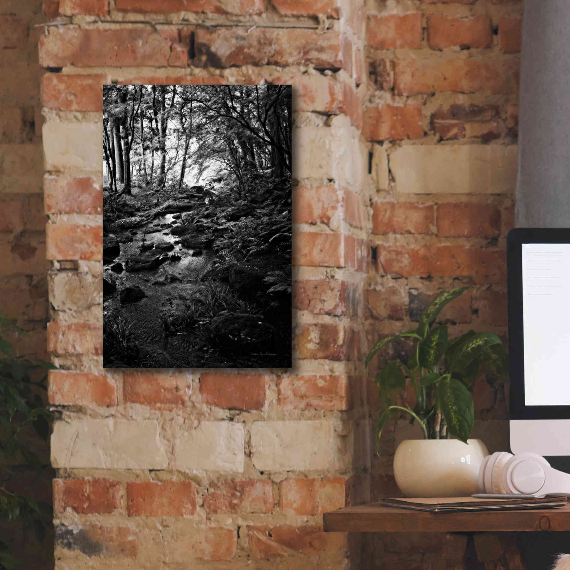 'Lush Creek in Forest BW' by Debra Van Swearingen, Canvas Wall Art,12 x 18