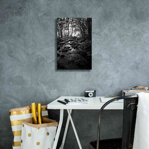 Image of 'Lush Creek in Forest BW' by Debra Van Swearingen, Canvas Wall Art,12 x 18