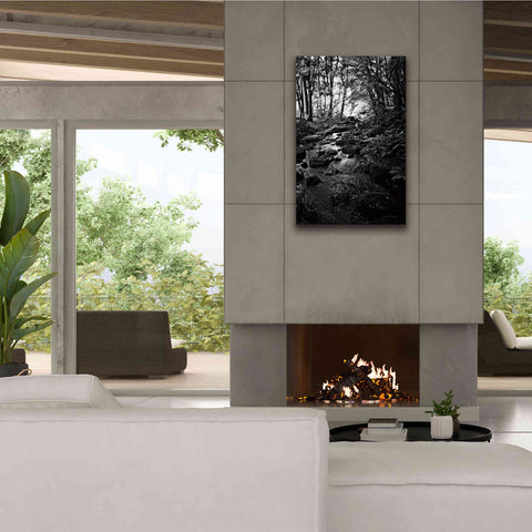 Image of 'Lush Creek in Forest BW' by Debra Van Swearingen, Canvas Wall Art,26 x 40