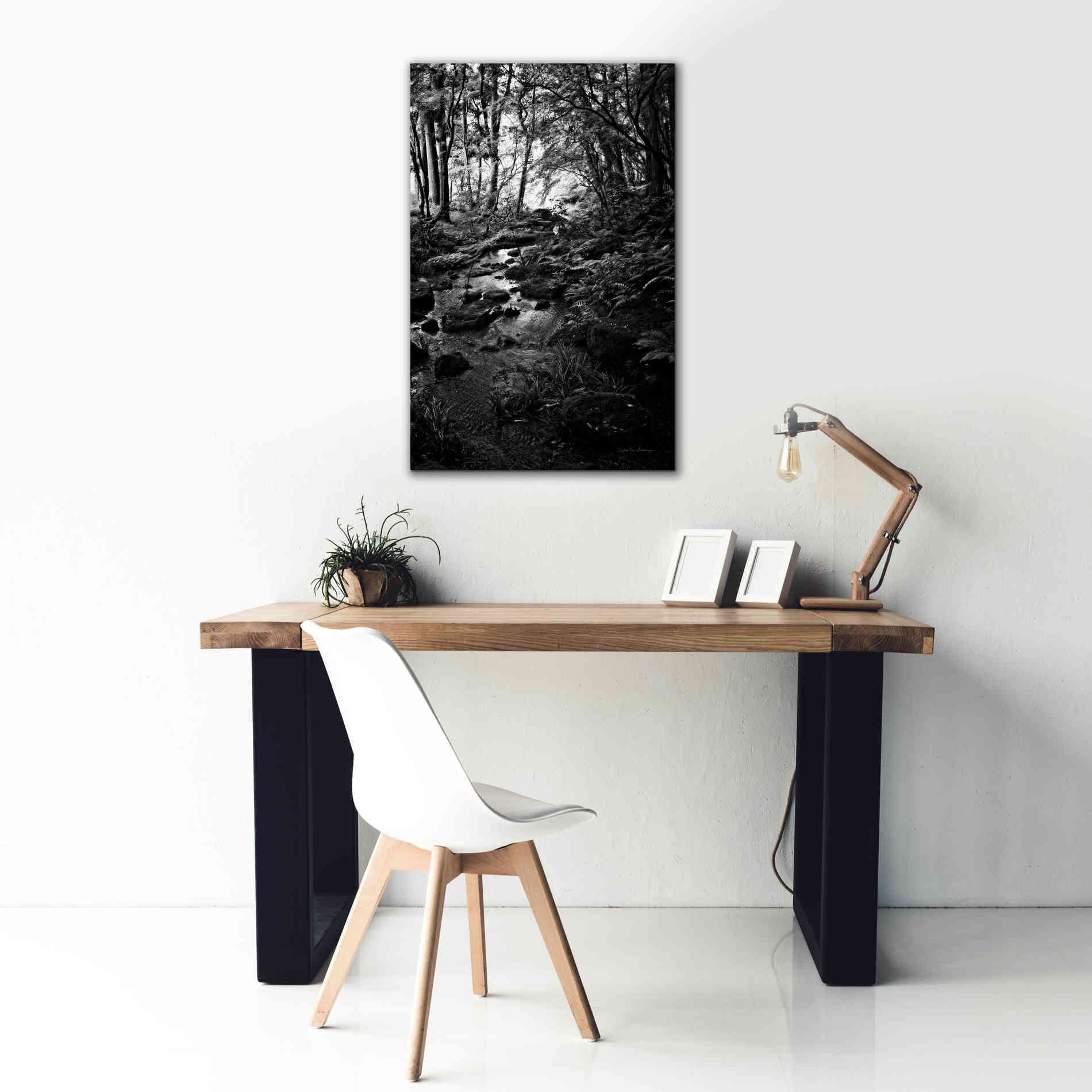 'Lush Creek in Forest BW' by Debra Van Swearingen, Canvas Wall Art,26 x 40