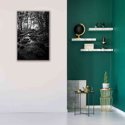 Image of 'Lush Creek in Forest BW' by Debra Van Swearingen, Canvas Wall Art,26 x 40