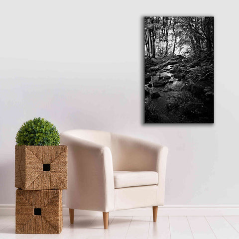 Image of 'Lush Creek in Forest BW' by Debra Van Swearingen, Canvas Wall Art,26 x 40