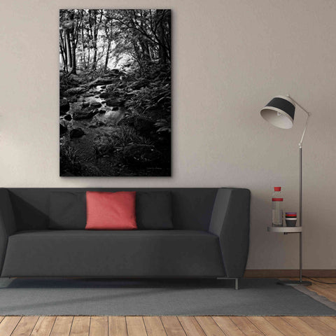 Image of 'Lush Creek in Forest BW' by Debra Van Swearingen, Canvas Wall Art,40 x 60
