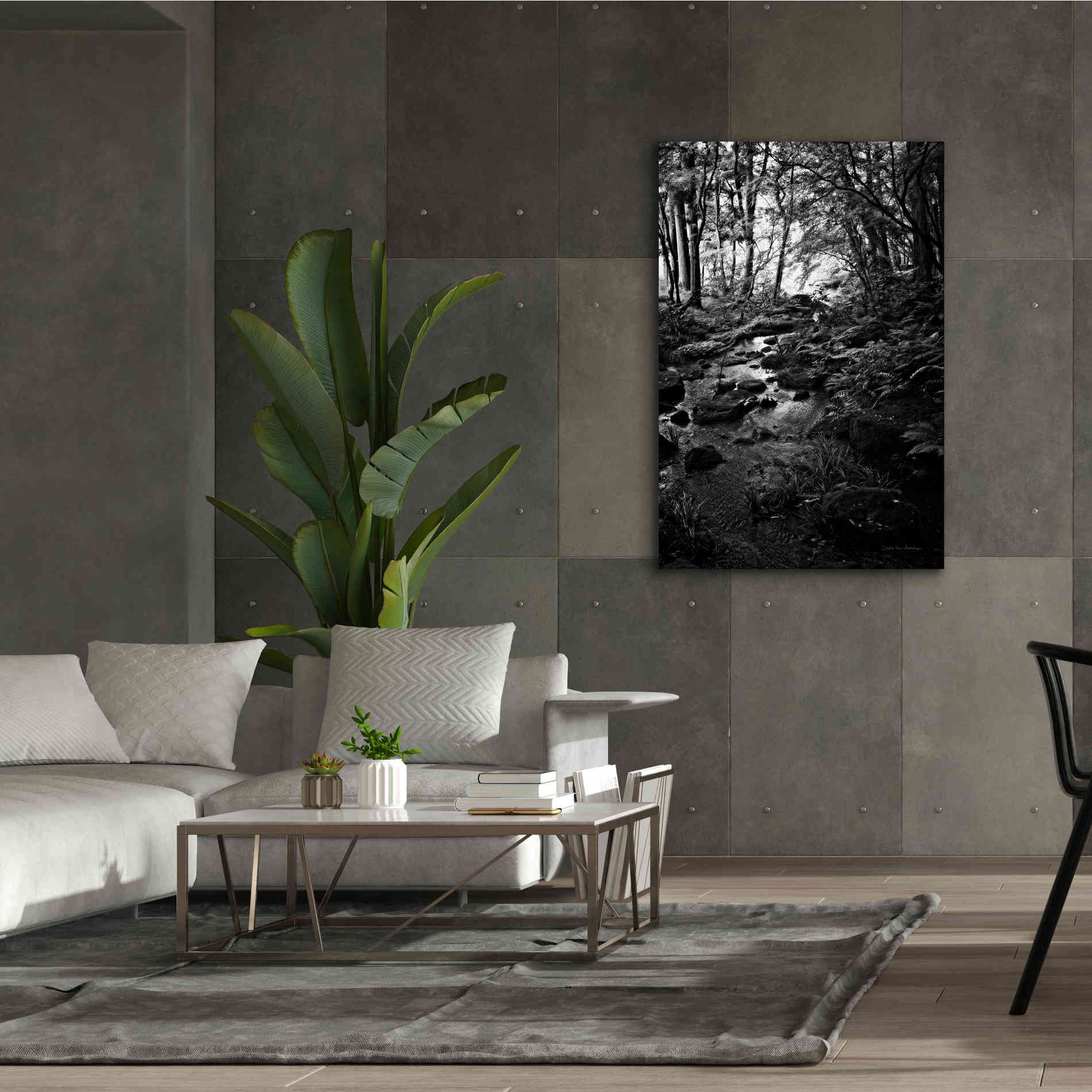 'Lush Creek in Forest BW' by Debra Van Swearingen, Canvas Wall Art,40 x 60