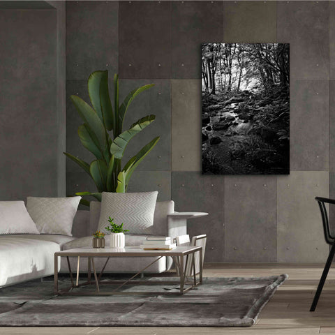 Image of 'Lush Creek in Forest BW' by Debra Van Swearingen, Canvas Wall Art,40 x 60