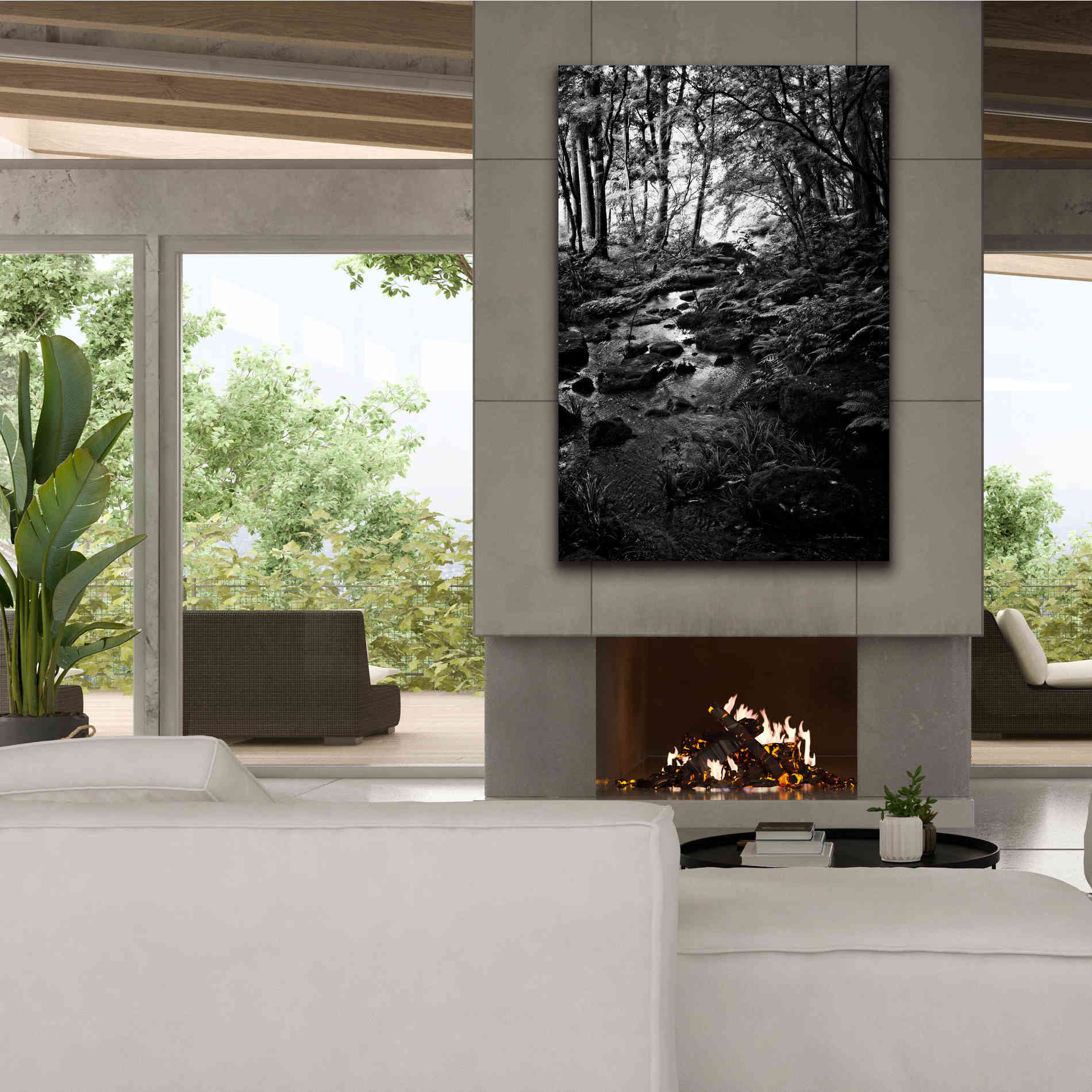 'Lush Creek in Forest BW' by Debra Van Swearingen, Canvas Wall Art,40 x 60