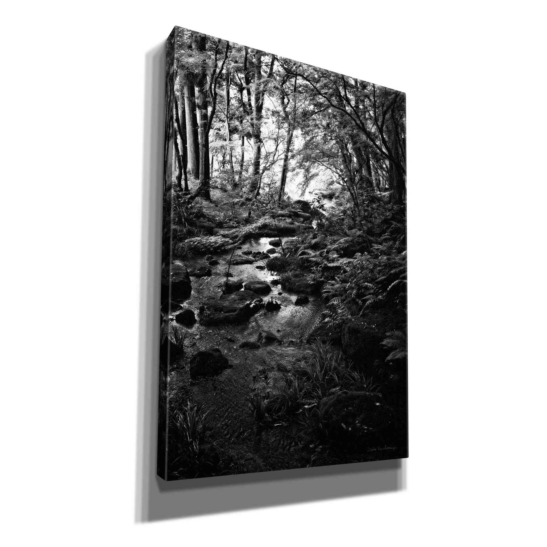 'Lush Creek in Forest BW' by Debra Van Swearingen, Canvas Wall Art,12x18x1.1x0,18x26x1.1x0,26x40x1.74x0,40x60x1.74x0