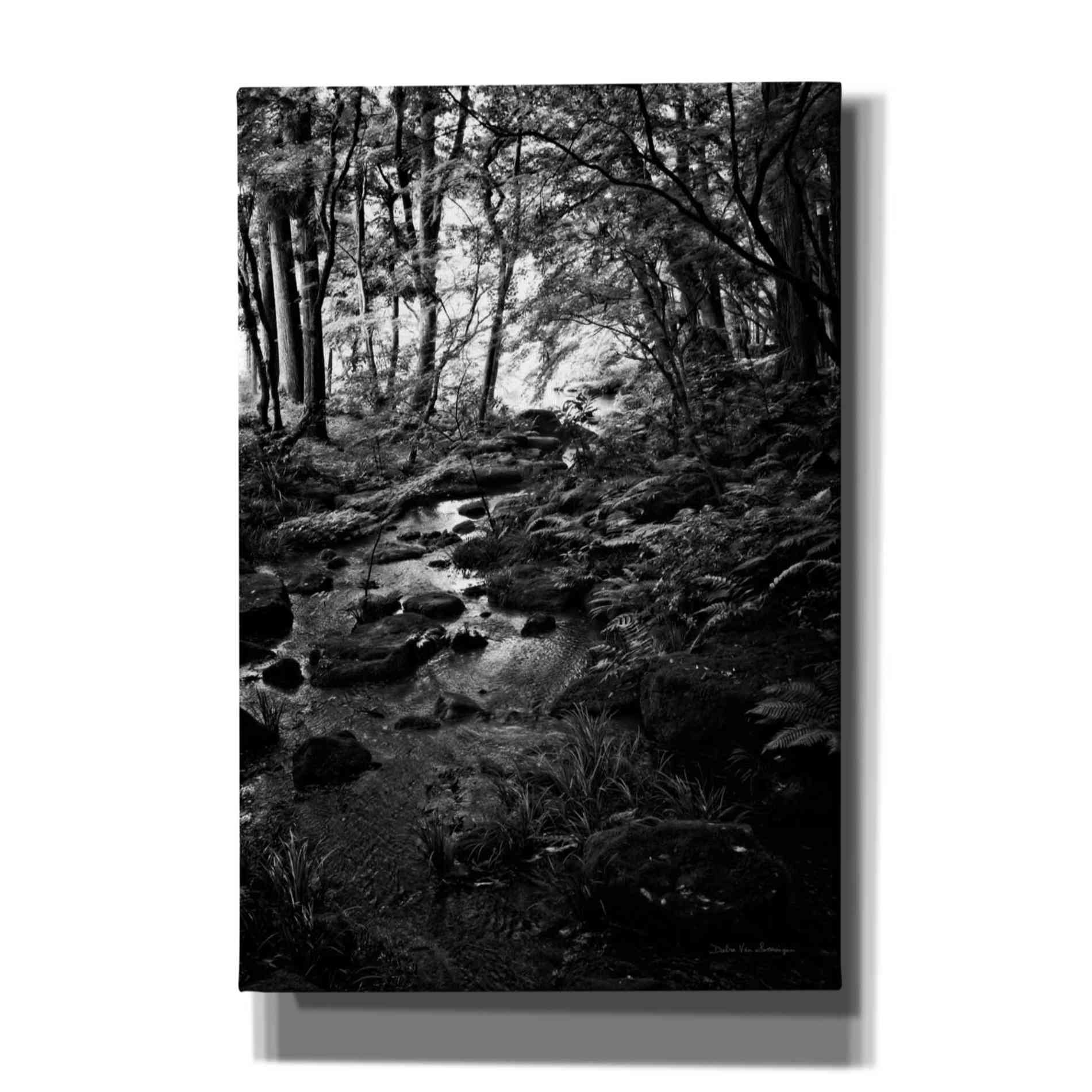 'Lush Creek in Forest BW' by Debra Van Swearingen, Canvas Wall Art,12x18x1.1x0,18x26x1.1x0,26x40x1.74x0,40x60x1.74x0