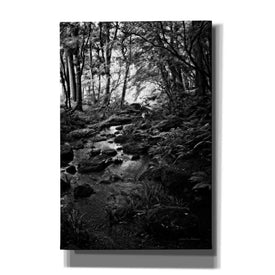 'Lush Creek in Forest BW' by Debra Van Swearingen, Canvas Wall Art,12x18x1.1x0,18x26x1.1x0,26x40x1.74x0,40x60x1.74x0