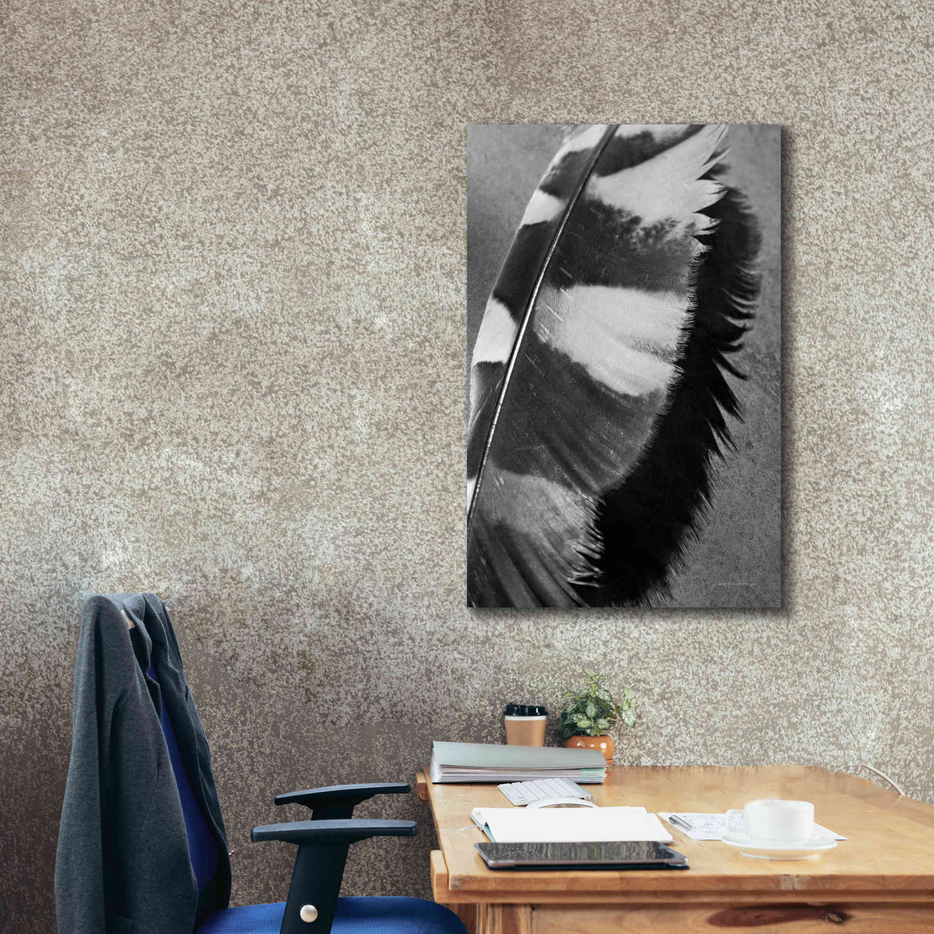 'Feather Shadow I' by Debra Van Swearingen, Canvas Wall Art,26 x 40