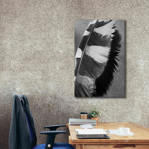 Image of 'Feather Shadow I' by Debra Van Swearingen, Canvas Wall Art,26 x 40