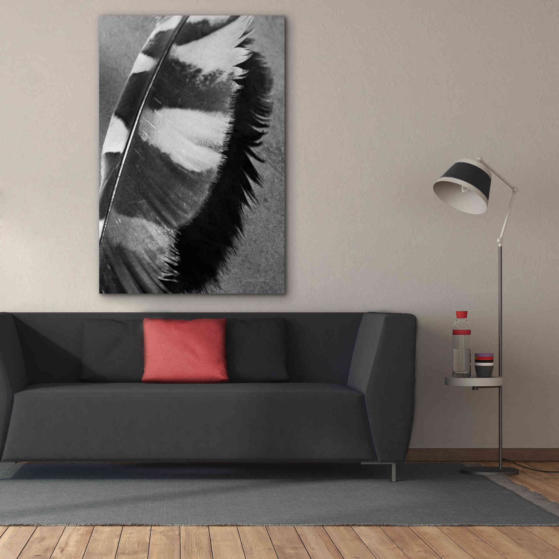 'Feather Shadow I' by Debra Van Swearingen, Canvas Wall Art,40 x 60