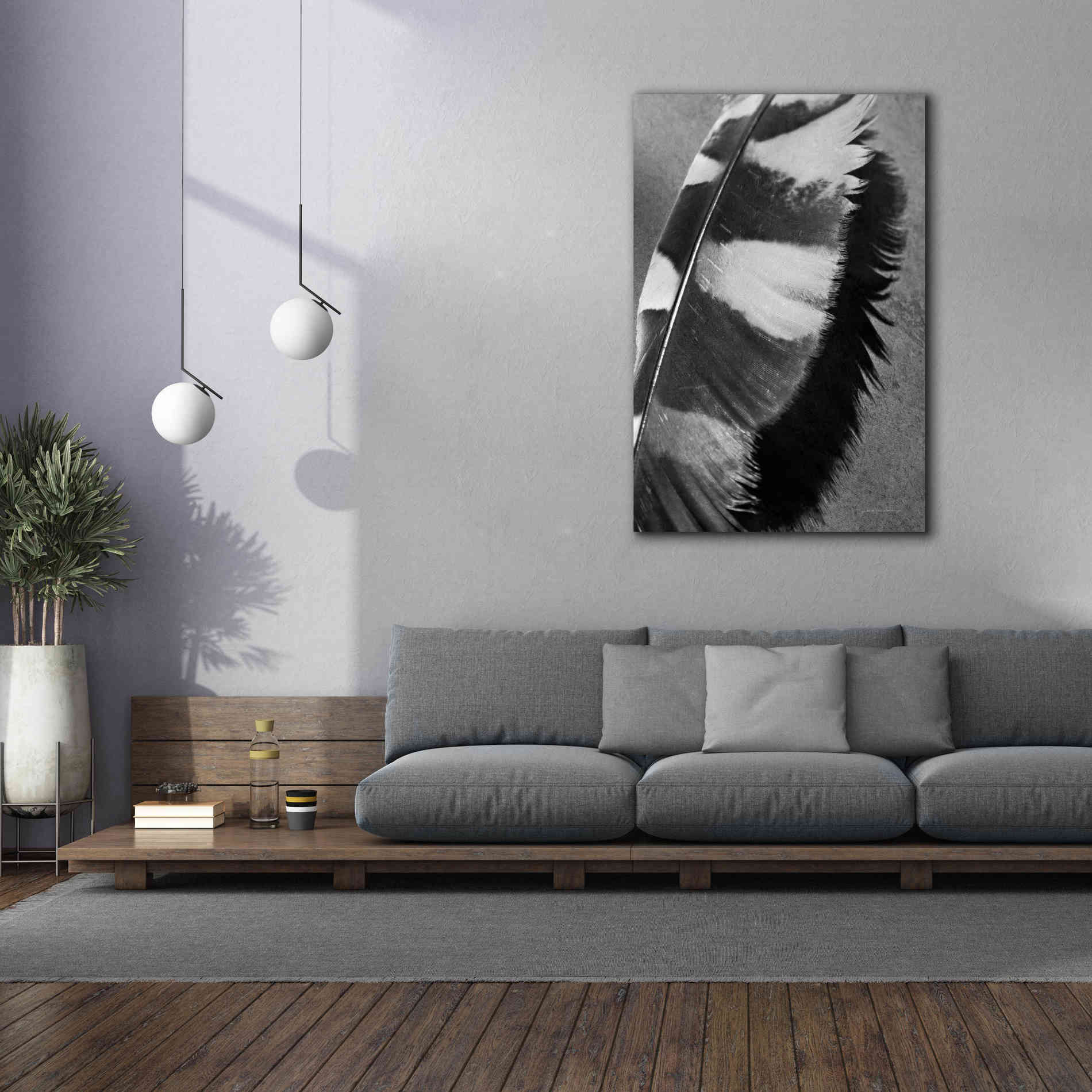 'Feather Shadow I' by Debra Van Swearingen, Canvas Wall Art,40 x 60