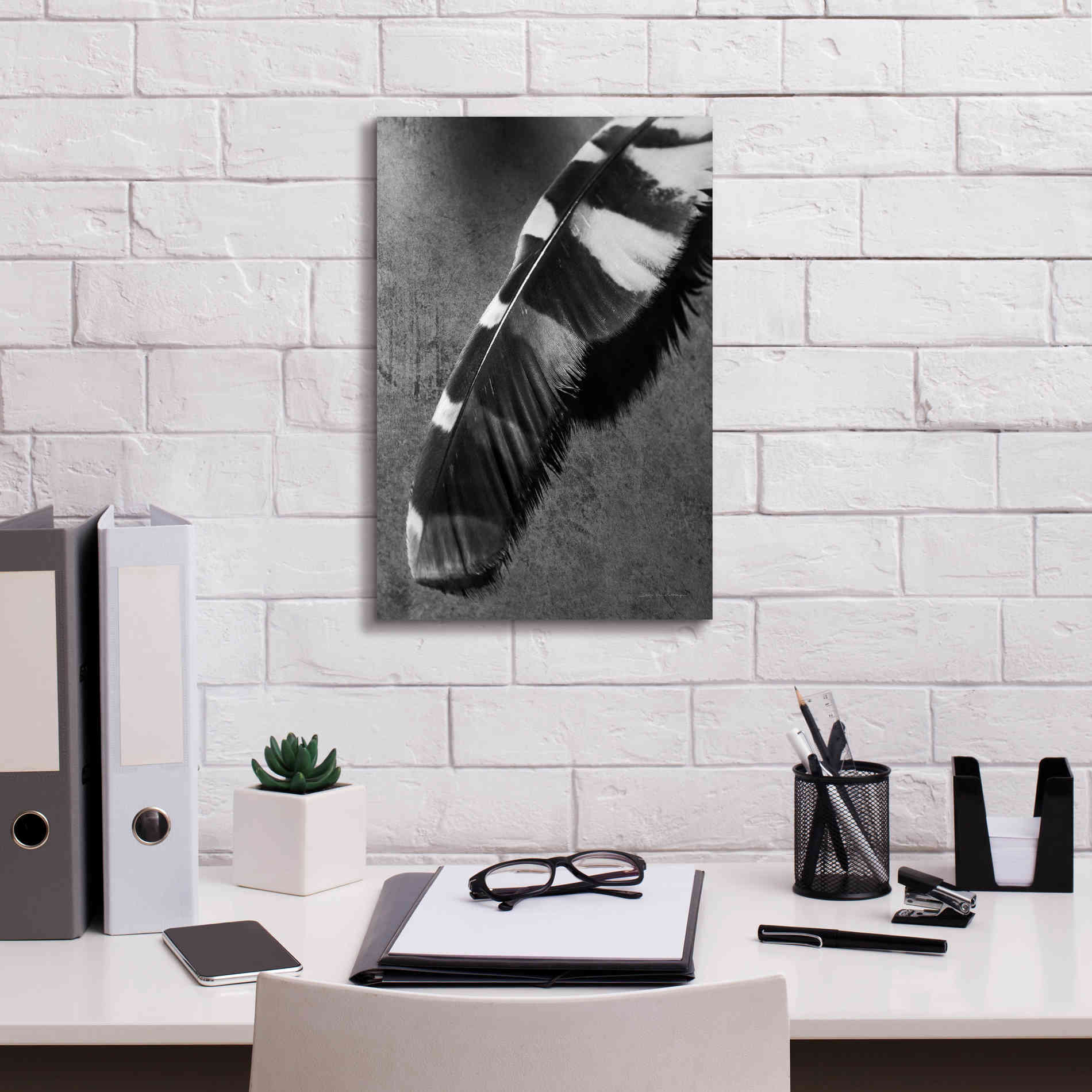 'Feather Shadow II' by Debra Van Swearingen, Canvas Wall Art,12 x 18