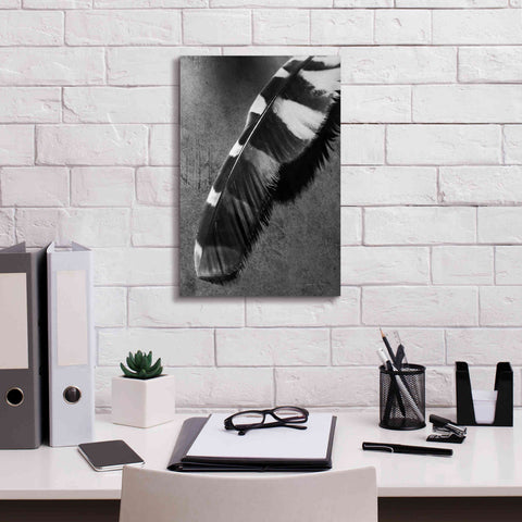 Image of 'Feather Shadow II' by Debra Van Swearingen, Canvas Wall Art,12 x 18