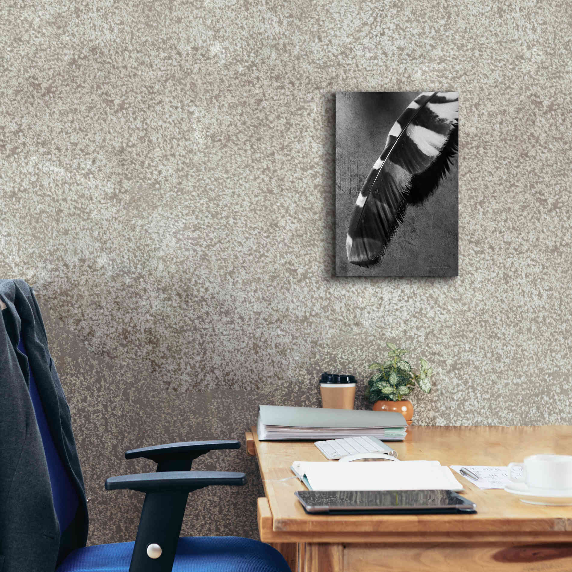 'Feather Shadow II' by Debra Van Swearingen, Canvas Wall Art,12 x 18