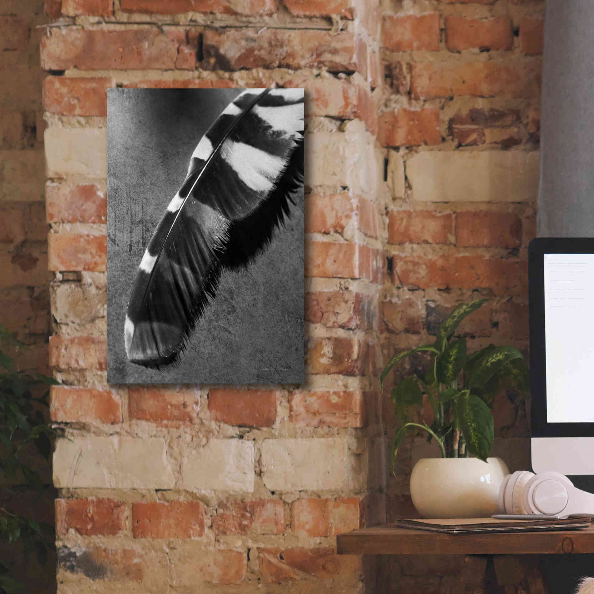 'Feather Shadow II' by Debra Van Swearingen, Canvas Wall Art,12 x 18