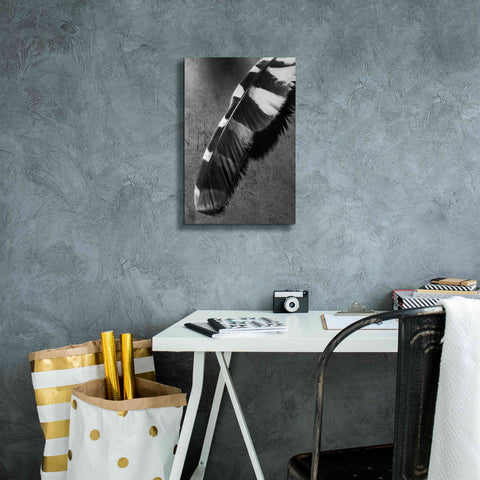 Image of 'Feather Shadow II' by Debra Van Swearingen, Canvas Wall Art,12 x 18