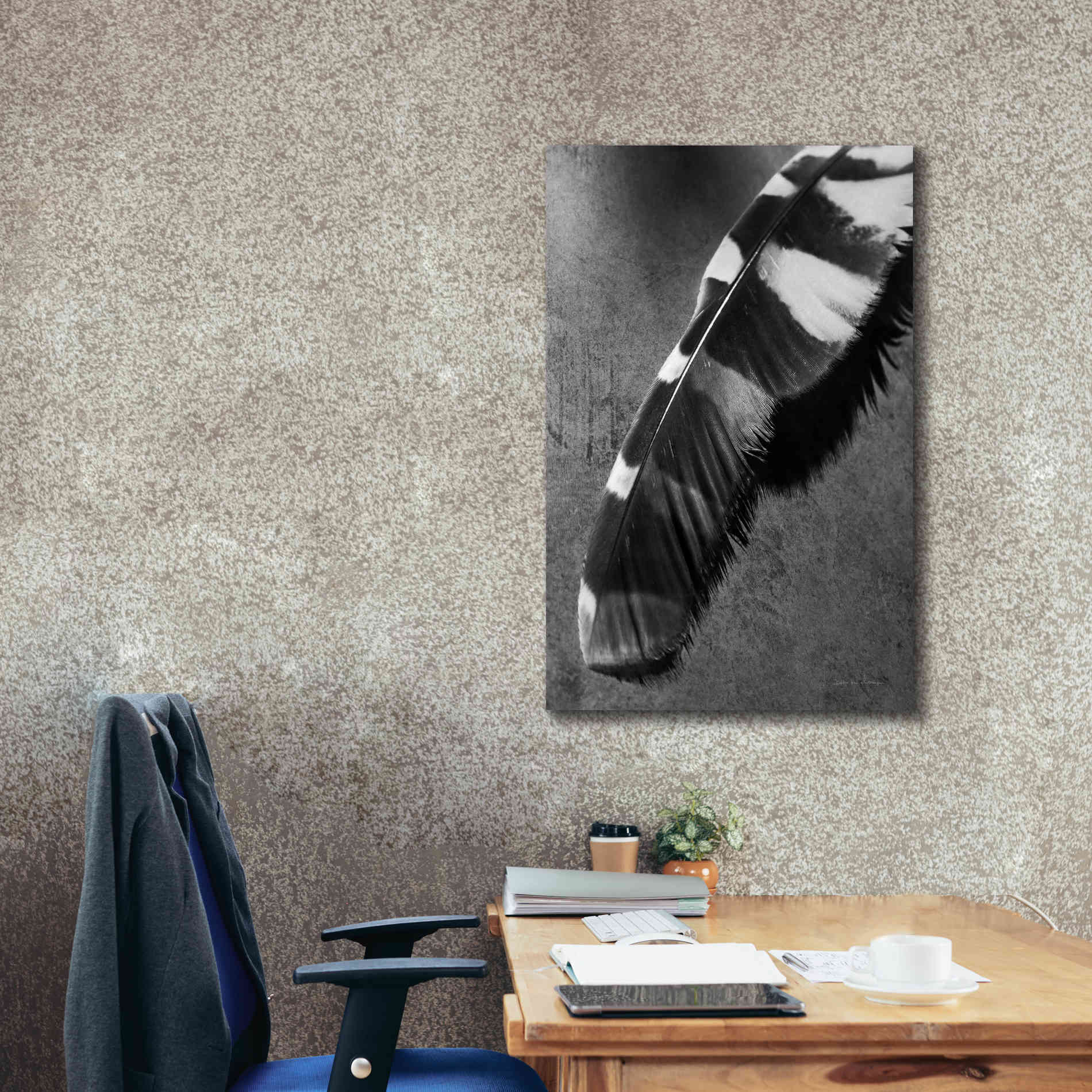'Feather Shadow II' by Debra Van Swearingen, Canvas Wall Art,26 x 40