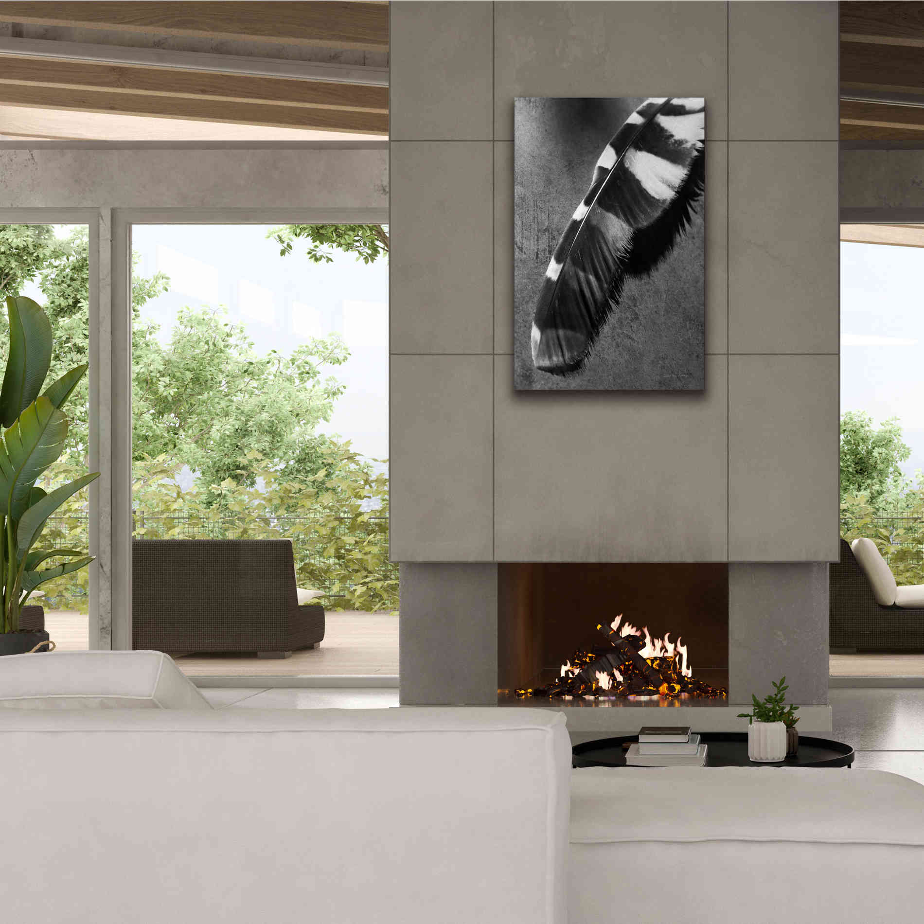 'Feather Shadow II' by Debra Van Swearingen, Canvas Wall Art,26 x 40