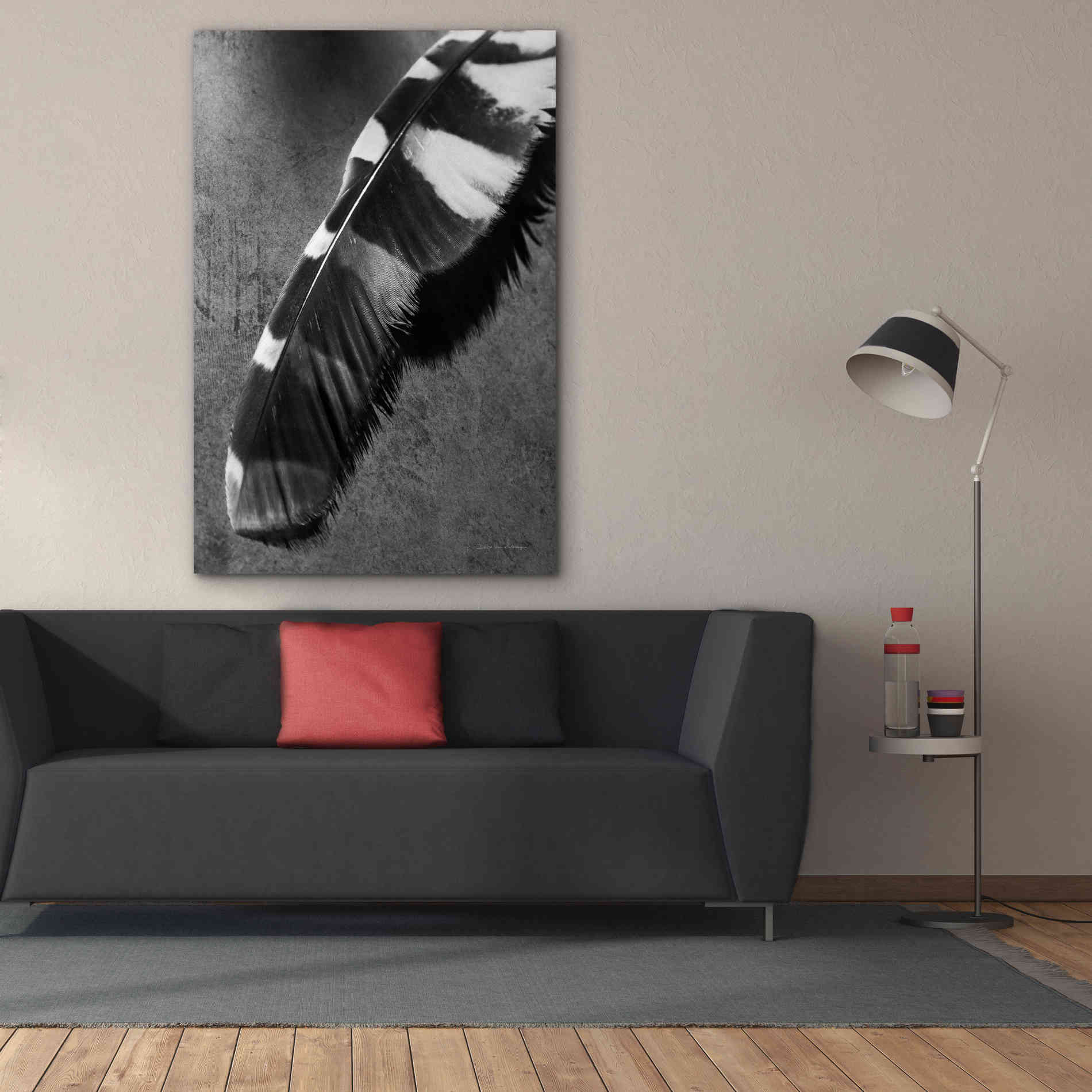 'Feather Shadow II' by Debra Van Swearingen, Canvas Wall Art,40 x 60