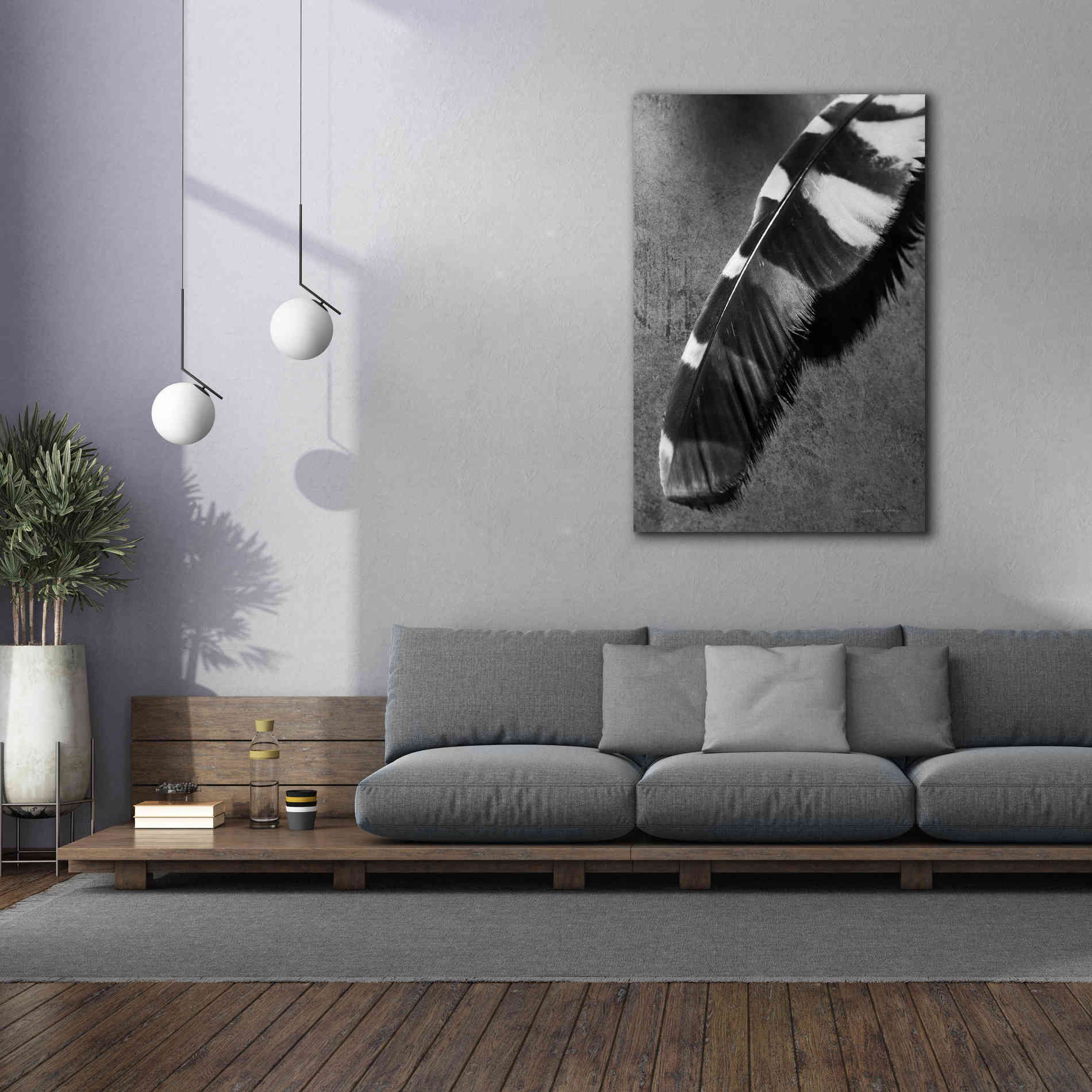 'Feather Shadow II' by Debra Van Swearingen, Canvas Wall Art,40 x 60