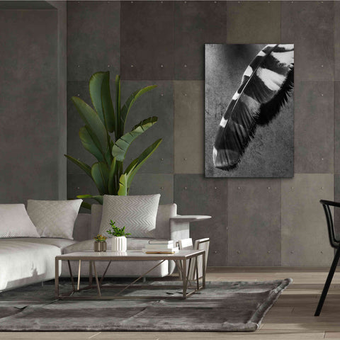 Image of 'Feather Shadow II' by Debra Van Swearingen, Canvas Wall Art,40 x 60