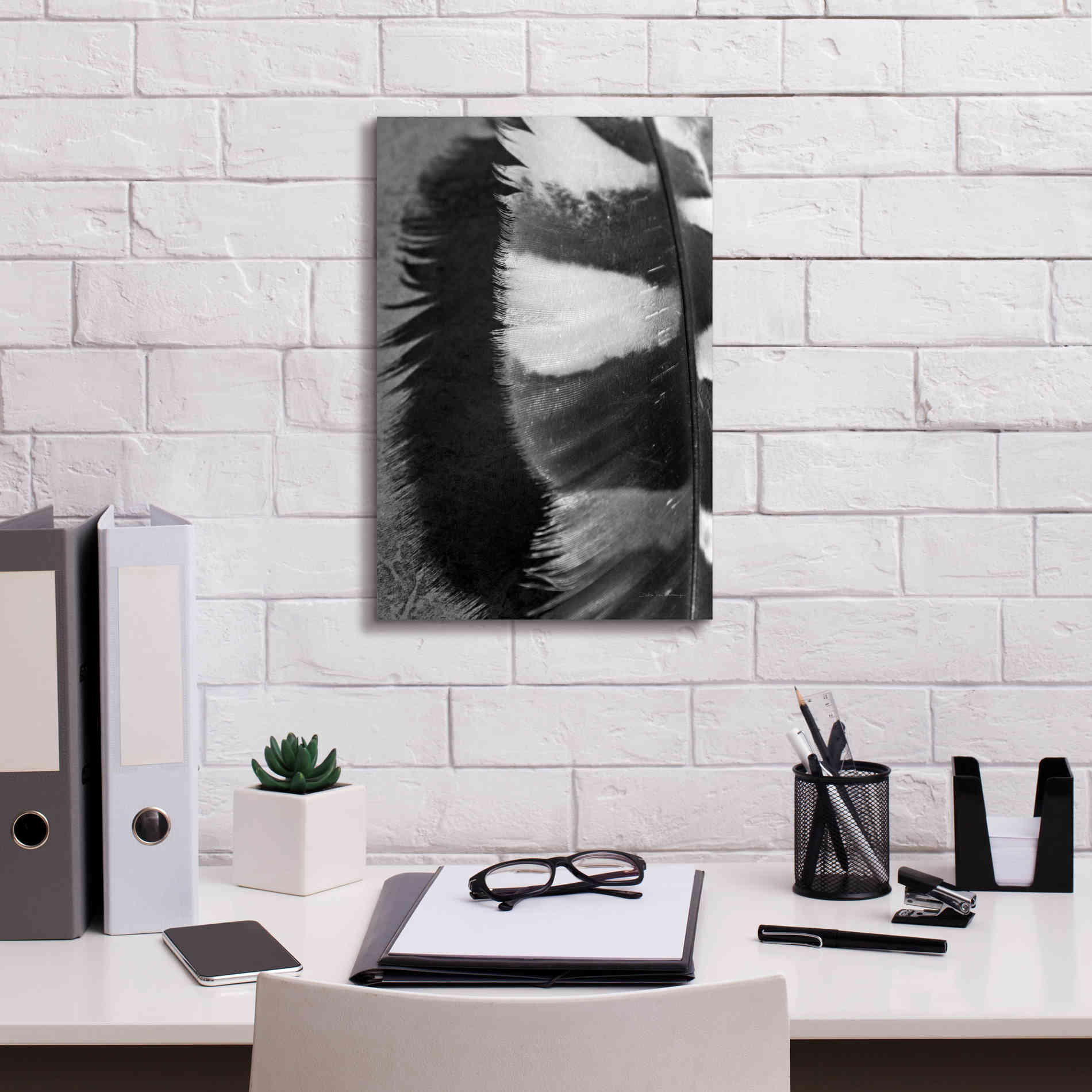 'Feather Shadow III' by Debra Van Swearingen, Canvas Wall Art,12 x 18