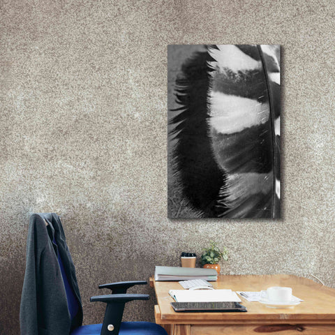 Image of 'Feather Shadow III' by Debra Van Swearingen, Canvas Wall Art,26 x 40