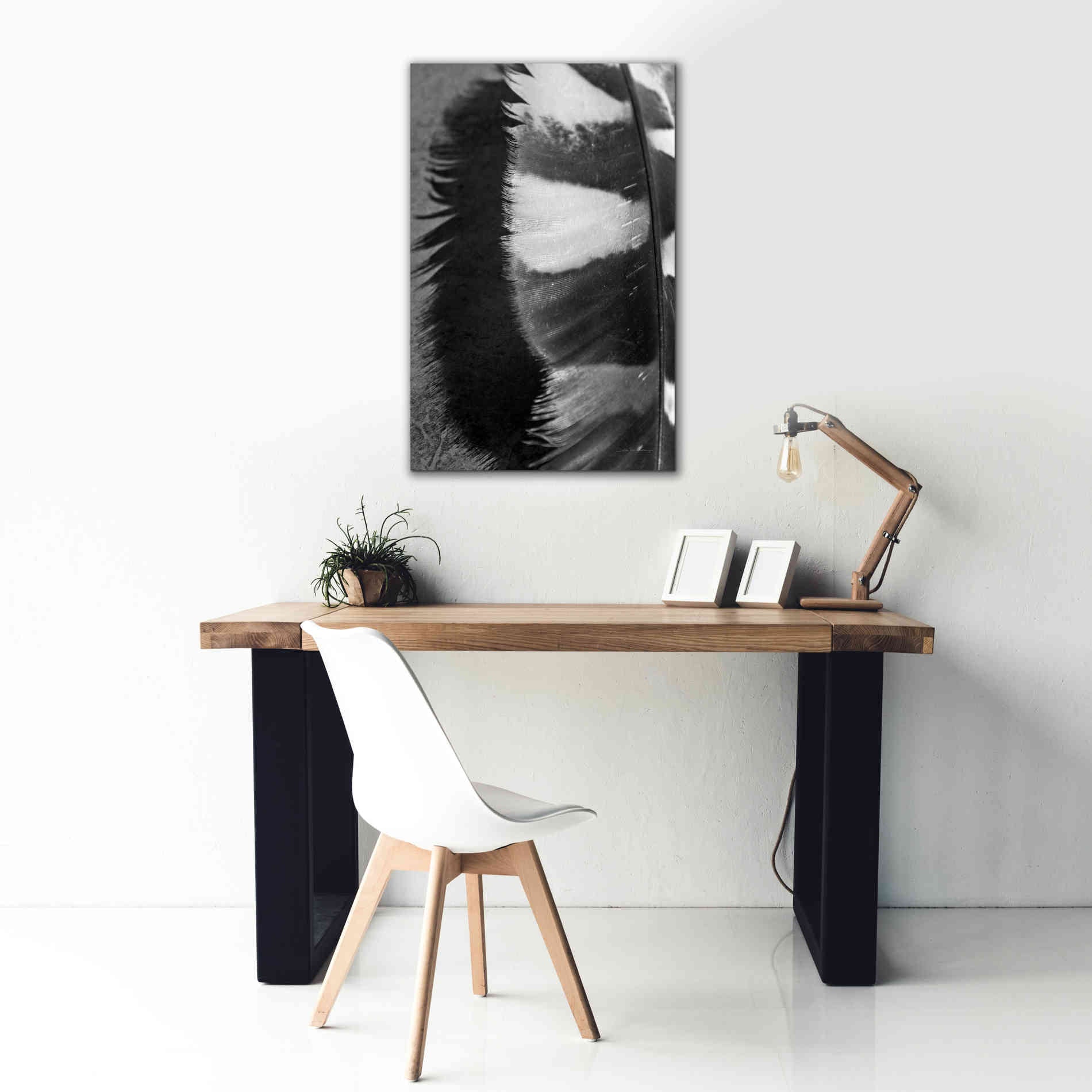 'Feather Shadow III' by Debra Van Swearingen, Canvas Wall Art,26 x 40