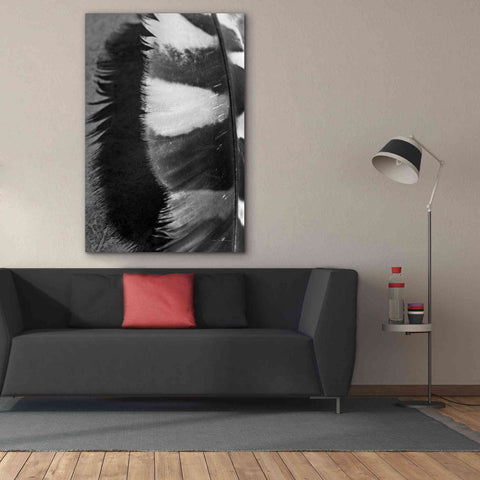 Image of 'Feather Shadow III' by Debra Van Swearingen, Canvas Wall Art,40 x 60