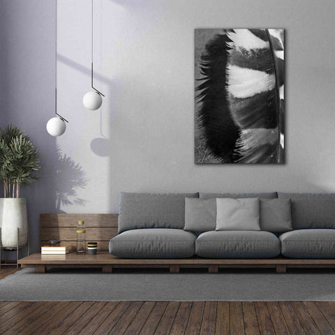 Image of 'Feather Shadow III' by Debra Van Swearingen, Canvas Wall Art,40 x 60