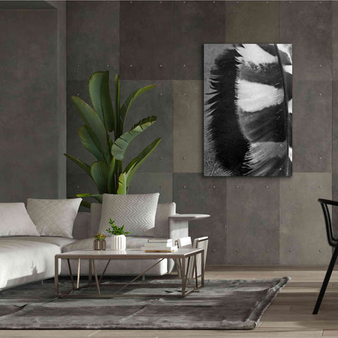 Image of 'Feather Shadow III' by Debra Van Swearingen, Canvas Wall Art,40 x 60