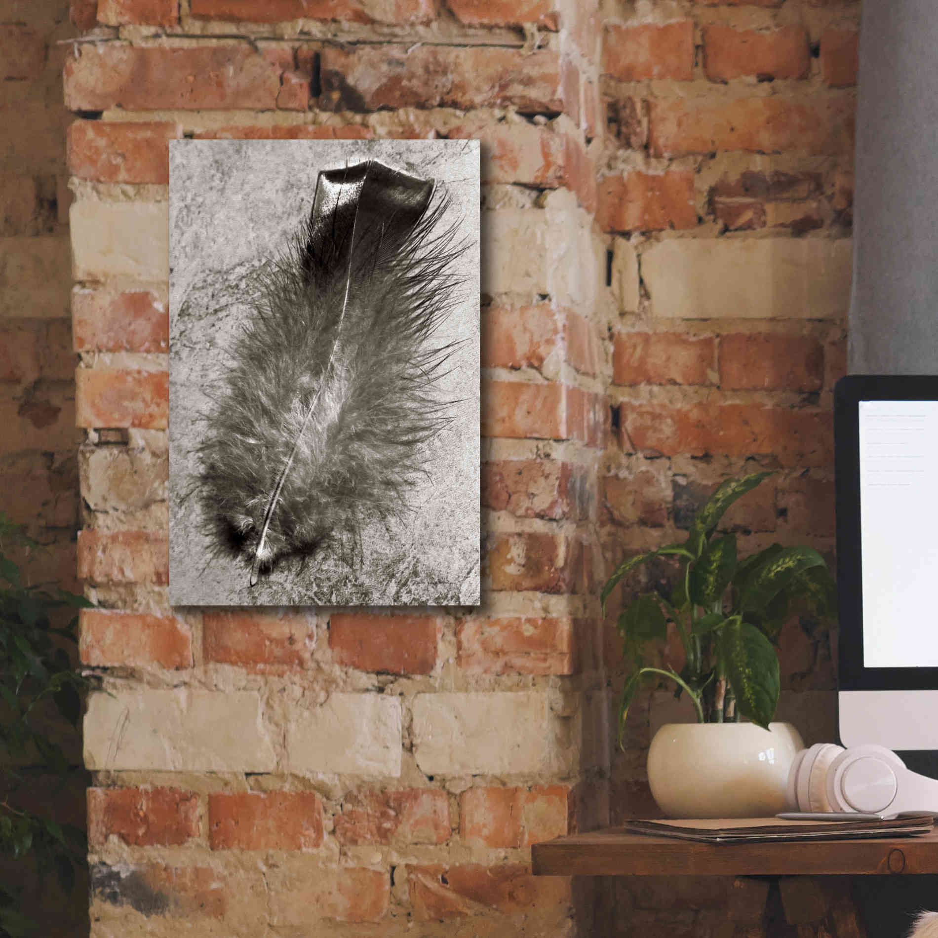 'Feather Shadow IV' by Debra Van Swearingen, Canvas Wall Art,12 x 18